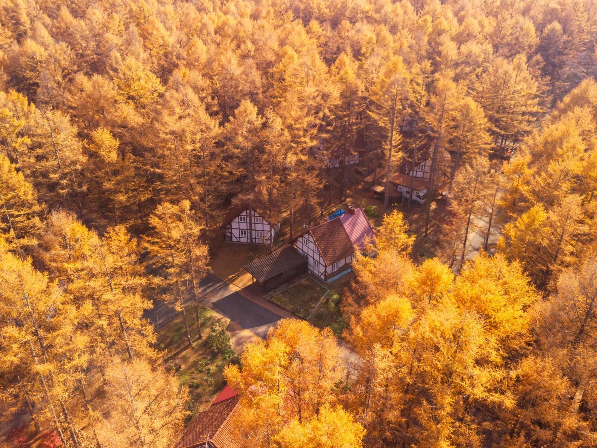 Tokachi Nakasatsunai Glamping Resort Feriendorf Exterior photo